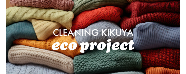 CLEANING KIKUYA eco project